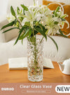 DUNISO Creative Clear Glass Vase Craft Aesthetic Decorative Small Flower Vase Hydroponic Plant Desktop Ornament Modern Irregularity Vase for Flowers Rose Home and Office