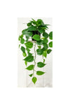 New In Fernza White Edged Potted Plant Green H50Cm