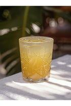 Acrylic Premium Quality Plastic Unbreakable Decorated Water Tumbler | Set Of 6 Glasses | Reusable, Dishwasher Safe | Short 8.5X10 CM Clear