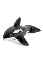 Dolphin Pool Ride On
