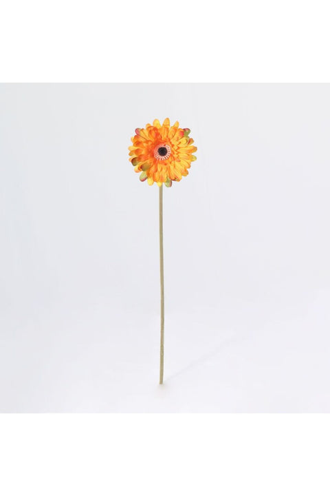 New In Fernza Gerbera Daisy Single Stem Orange H52Cm