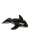 Dolphin Pool Ride On