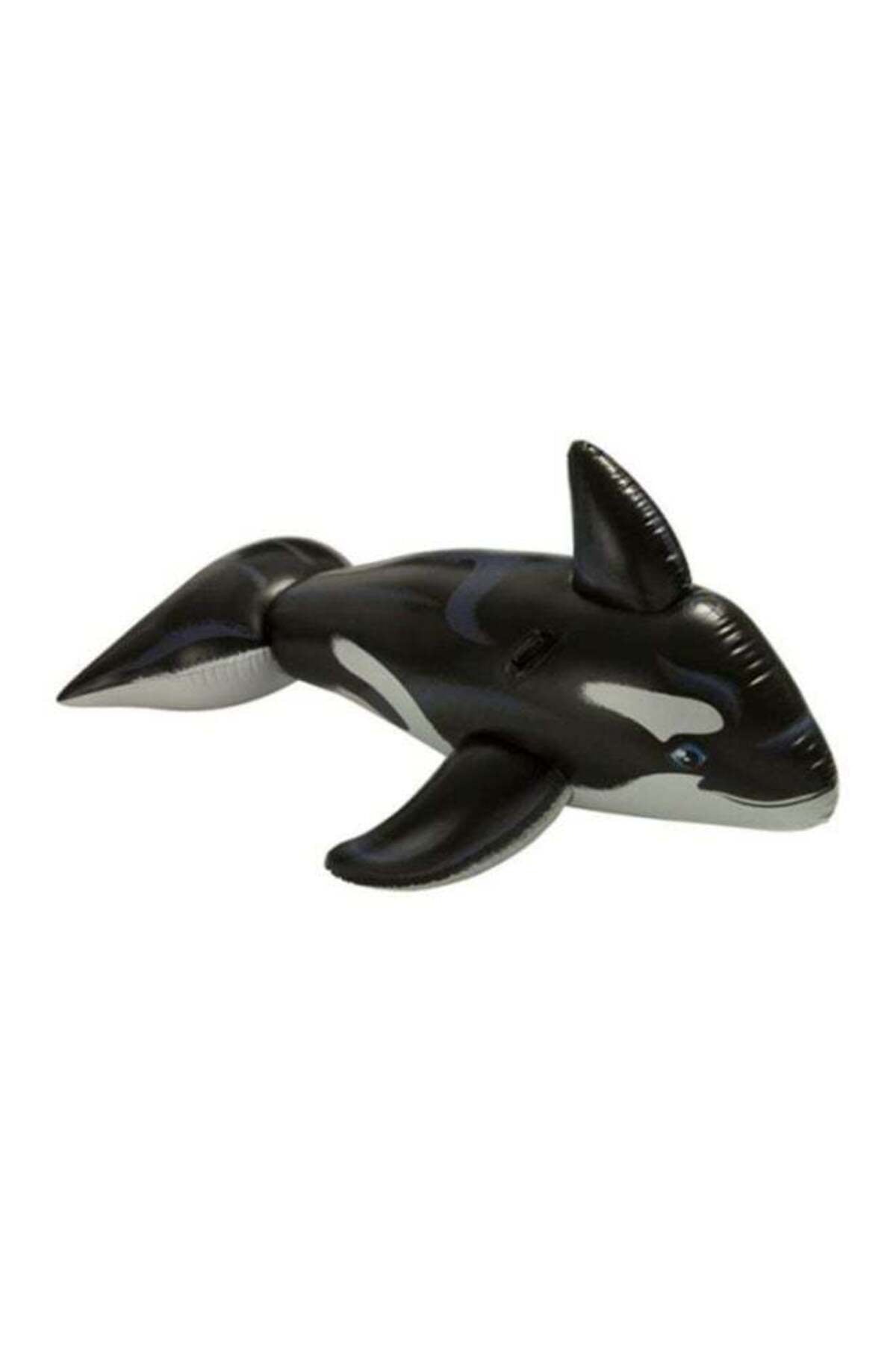 Dolphin Pool Ride On