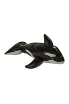 Dolphin Pool Ride On