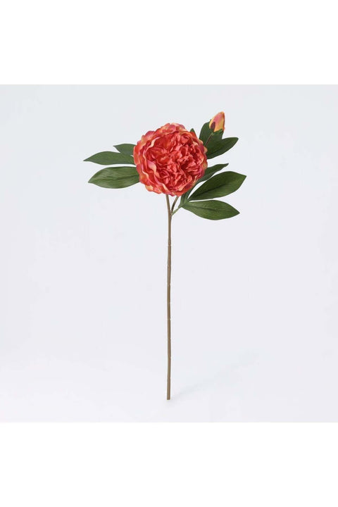 New In Fernza Peony Reddish Violet Single Stem Red H58Cm