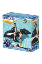 Dolphin Pool Ride On