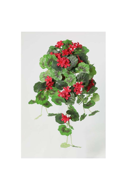 New In Fernza Hanging Begonia Potted Plant Red H55Cm
