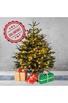 Fresh Premium Christmas Tree with Box Decoration 230cm