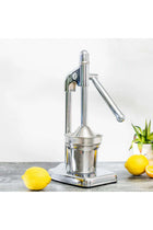 RF 8674 Citrus Juicer | Heavy-Duty Iron Base | Stainless Steel Juice Cup & Strainer | Aluminum Handle Manual Lever Juicer for Smooth & Fresh Extraction