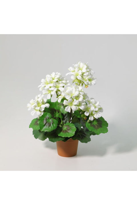 New In Fernza Crabapple Potted Plant White H33Cm