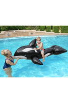 Dolphin Pool Ride On