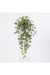 New In Fernza Ivy Hanging Plant Green H55Cm