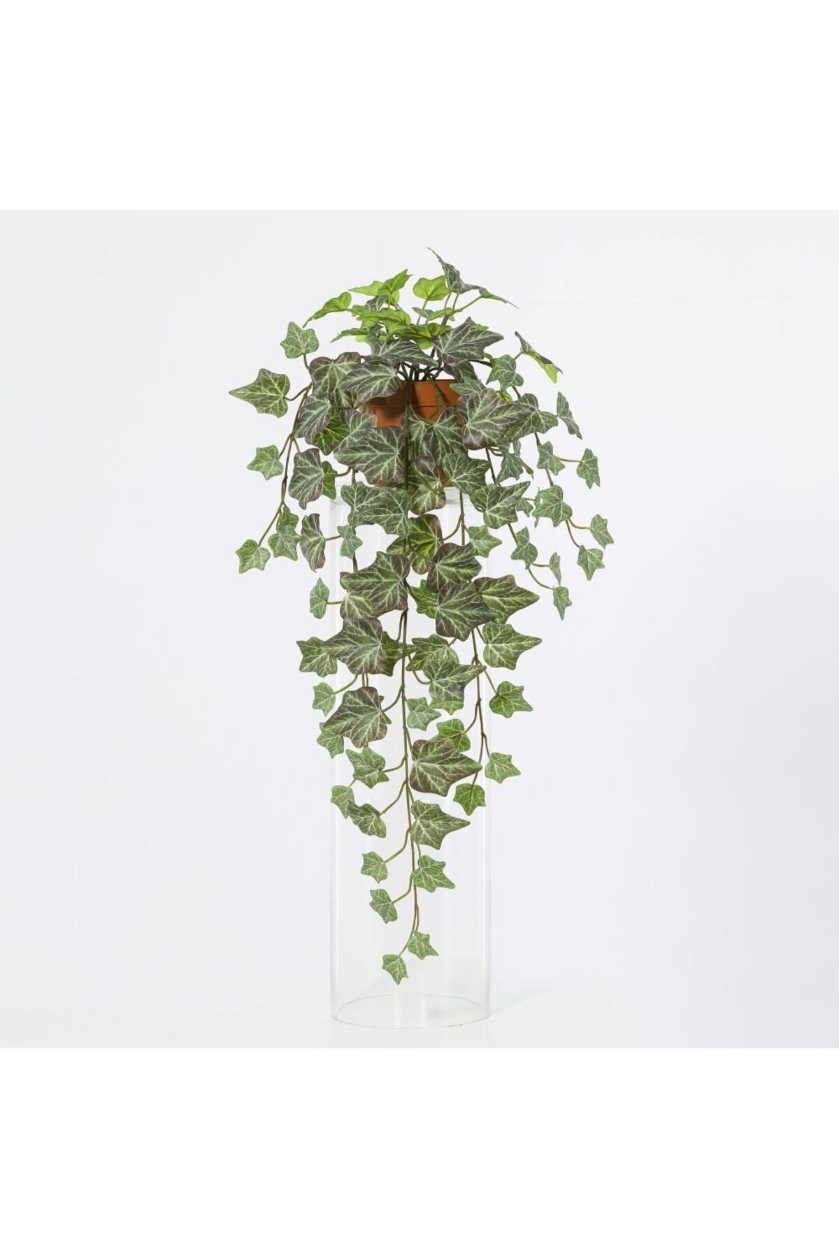 New In Fernza Ivy Hanging Plant Green H55Cm