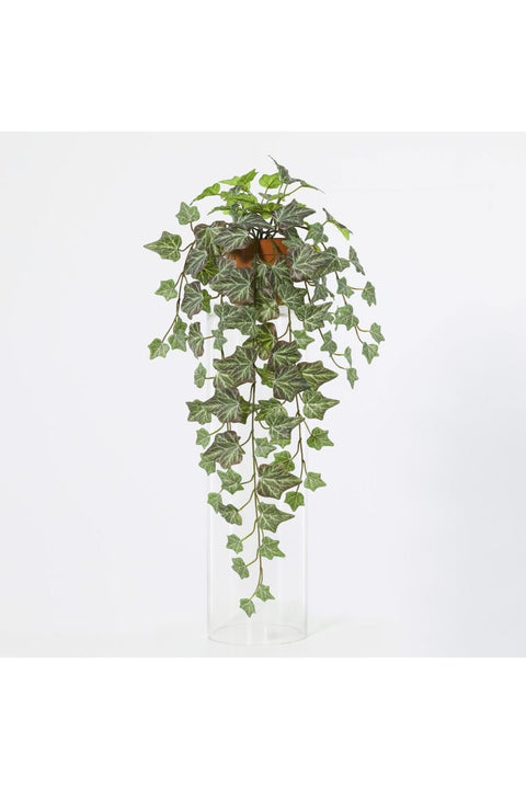 New In Fernza Ivy Hanging Plant Green H55Cm