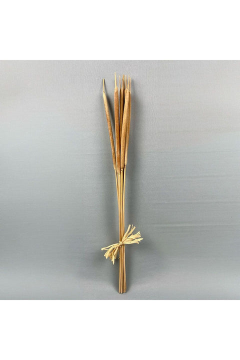 New In Reed Spadix Sticks M Natural H-70Cm