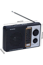 iBELL CTFM100U Portable FM Radio, with USB, SD Card, MP3 Player & Dynamic Speaker 4 Band (Bla