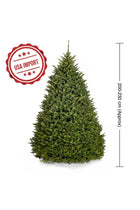 Fresh Premium Christmas Tree 230cm