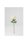 New In Fernza Crab Claw Chrysanthemum Single Branch White H56Cm