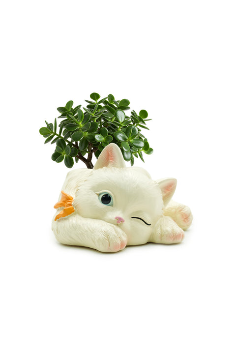 Marketplace Peek A Boo Cat Cartoon Flower Pot Polyresin Cute Cat Succulent Planter Adorable Animal Vase Decorative Desk Flower Pot Pen Pencil Holder Propagator Kit for Indoor Outdoor Home Office Decor