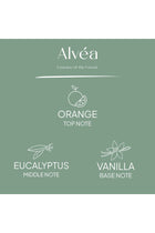 New In Alvea (320G) Harmony Pine & Eucalyptus Jar Candle