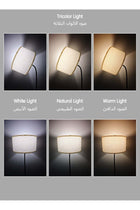Modern Design Floor Lamp - Standing Lamp with 30W LED Bulb - Adjustable Bend Angle - Metal Material - Three-color LED Light - White Light, Natural Light, Warm Light - Detachable Lamp