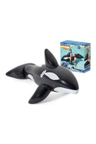 Dolphin Pool Ride On
