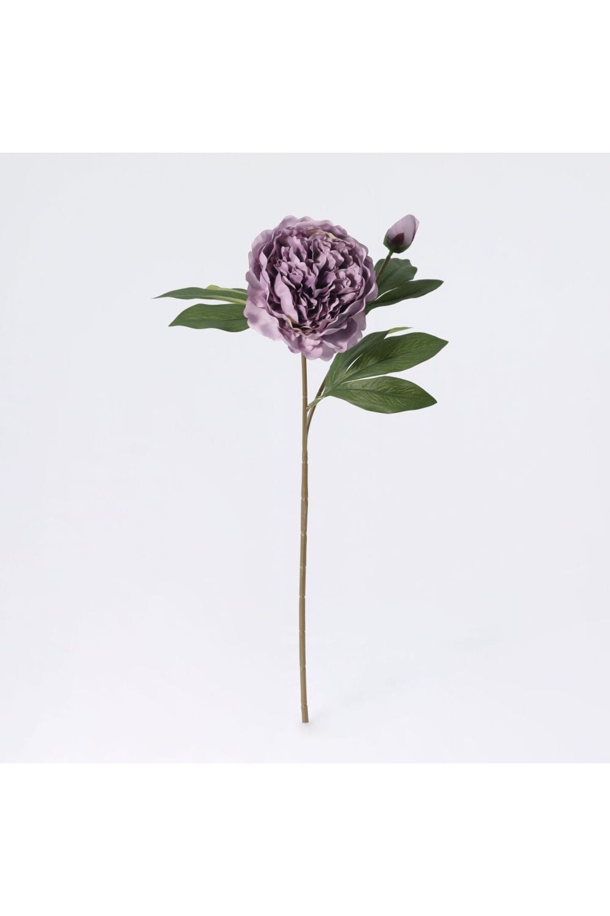 New In Fernza Peony Reddish Violet Single Stem Purple H58Cm
