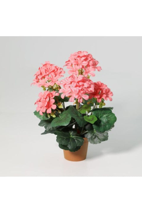 New In Fernza Crabapple Potted Plant Red-Pink H33Cm