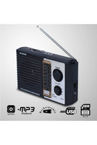 iBELL CTFM100U Portable FM Radio, with USB, SD Card, MP3 Player & Dynamic Speaker 4 Band (Bla
