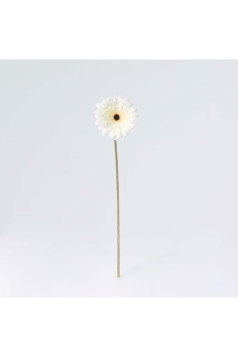 New In Fernza Gerbera Daisy Single Stem White H52Cm
