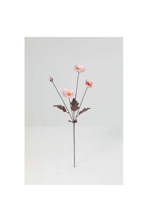 New In Fernza Pink Poppy Single Stem Pink H55Cm
