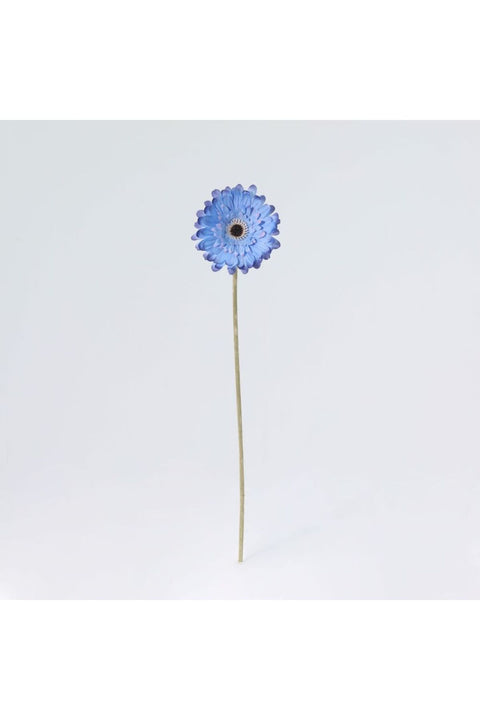 New In Fernza Gerbera Daisy Single Stem Blue H52Cm