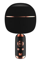 Superstar Dynamic Karaoke Microphone