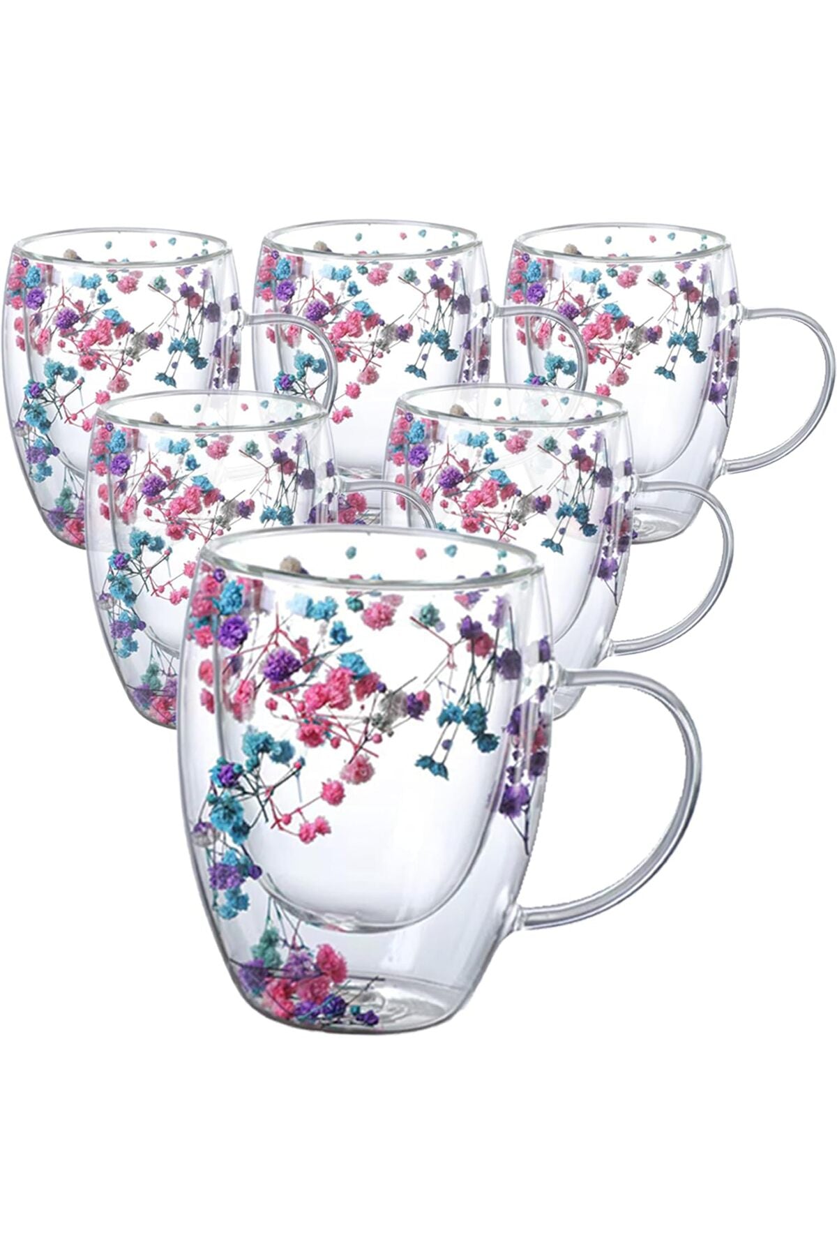 Double Wall Glass Coffee Mugs 350ml with Real Dry Flowers Set of 6, Insulated Flower Glass Mugs, Aesthetic Clear Cups, Unique Gift Box (MULTI-2)