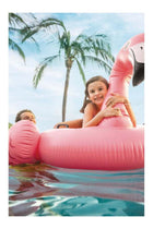 , Flamingo Ride-On -Pink, 70x53inch