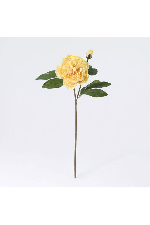 New In Fernza Peony Reddish Violet Single Stem Yellow H58Cm