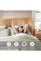 3-Piece Duvet Cover Set with 300 TC Cotton - Fade Resistant, Stain Free Duvet Cover for Bedrooms | 1 Comforter Cover & 2 Pillow Shams 65x65cm (Sage Green, Queen - 225 x 225cm)