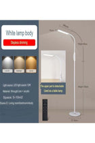 Modern LED Floor Lamp with Remote & Touch Control, Stepless Dimming, 3 Color Temperatures, Detachable Adjustable Head, Standing Lamp for Living Room, Bedroom, Office (12W)