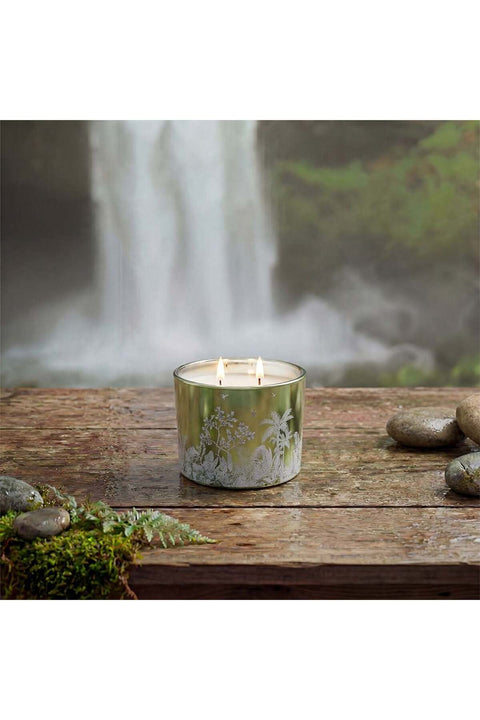Alvea (220G) Harmony Pine & Eucalyptus Jar Candle