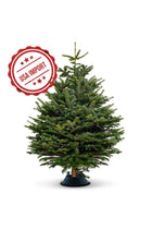 Fresh Premium Christmas Tree With Stand 230cm