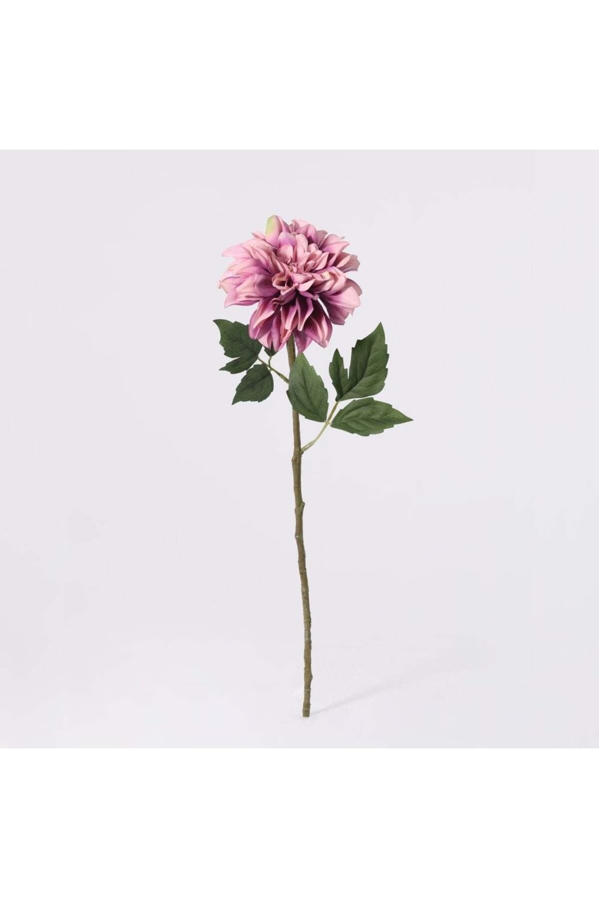 New In Fernza Dahlia Single Branch Purple H58Cm