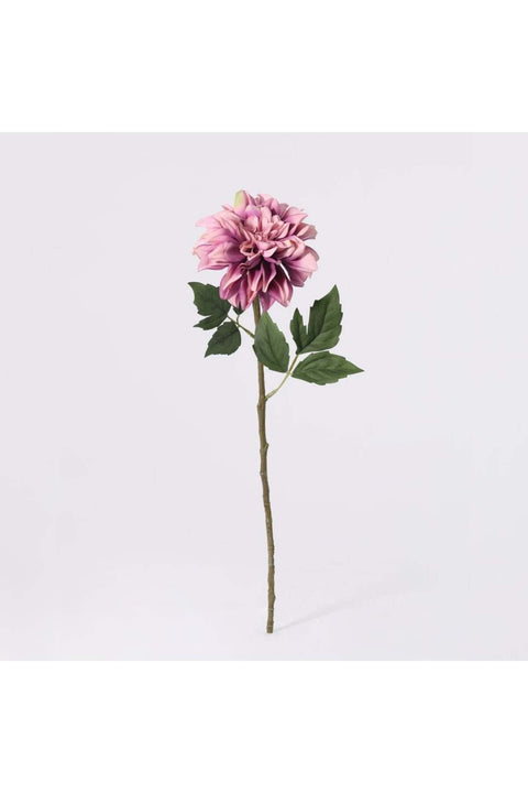 New In Fernza Dahlia Single Branch Purple H58Cm