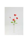 New In Fernza Red Poppy Single Stem Red H71Cm