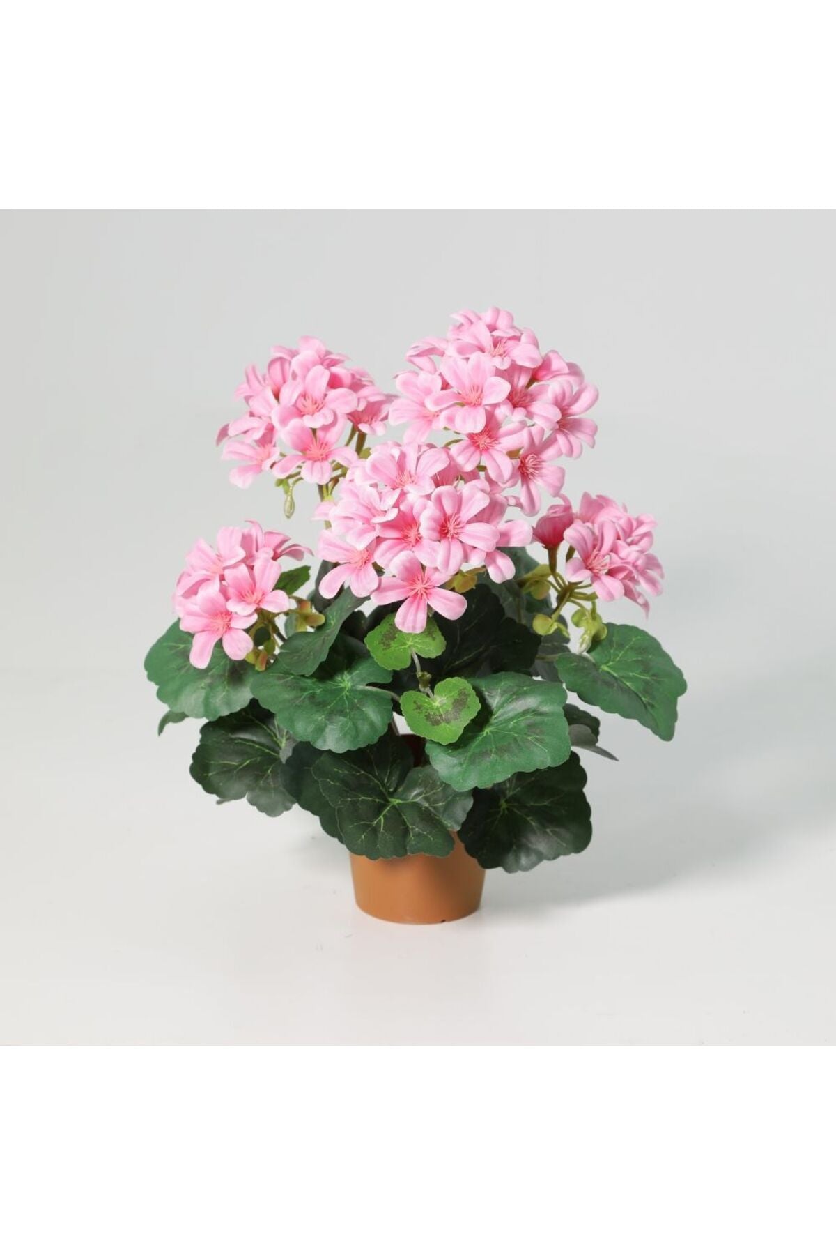 New In Fernza Crabapple Potted Plant Pink H33Cm