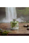 Alvea (200Ml) Harmony Pine & Eucalyptus Reed Diffuser