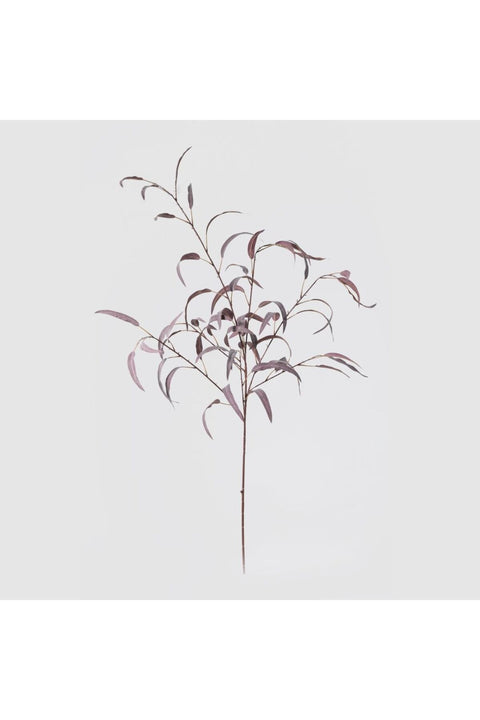 New In Fernza Long Eucalyptus Leaves Single Stem Maroon Purple H130Cm