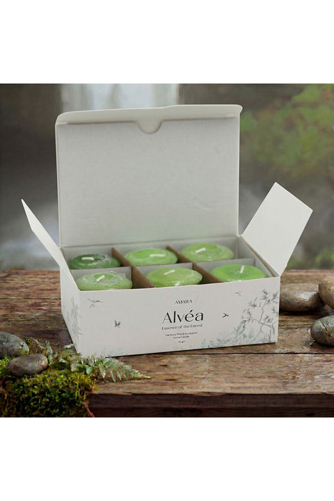 Alvea (45G) Harmony Pine & Eucalyptus Votive Candle