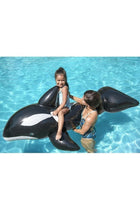Dolphin Pool Ride On