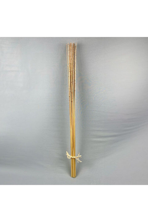 New In Reed Stem Natural H-- 120Cm