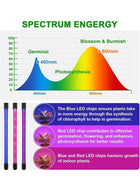 DUNISO Grow Lights For Indoor Plants，4 Head Led Grow Light，3/9/12h Timer,9 Dimmable Levels, 3 Lighting Mode﻿，Can Rotate 360 °，Suitable for Balconies, Greenhouses, Darkrooms, and Offices - Image 3